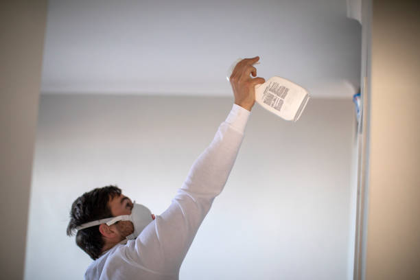 Best Attic Mold Removal  in Orchard City, CO