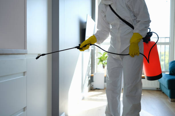 Best Certified Mold Removal  in Orchard City, CO
